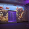 Проекционный дизайн "Виртуальная реальность" базовый комплект 500 анимаций - «globural.ru» - Тобольск