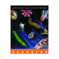 Зоология. Микрофотографии. (Цифровая база изображений) - «globural.ru» - Тобольск