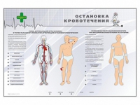 Электрифицированный стенд "Остановка кровотечения" - «globural.ru» - Тобольск