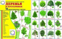 Демонстрационные карточки "Деревья и кустарники" - «globural.ru» - Тобольск