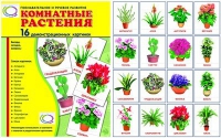 Демонстрационные карточки "Комнатные растения" - «globural.ru» - Тобольск
