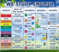 Стенд "We study english" - «globural.ru» - Тобольск