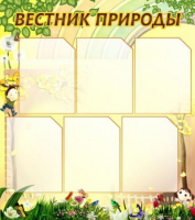 Стенд "Вестник природы" (вариант 3) - «globural.ru» - Тобольск