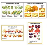 Плакаты ПРОФТЕХ "Ассортимент овощных культур" (12 пл, винил, 70х100) - «globural.ru» - Тобольск