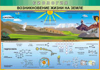 Таблица Возникновение жизни на Земле 1000*1400 винил - «globural.ru» - Тобольск