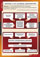 ОБЖ Здоровый образ жизни (комплект таблиц) - «globural.ru» - Тобольск