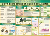 Таблица Биотические взаимоотношения организмов 1000*700 (винил) - «globural.ru» - Тобольск