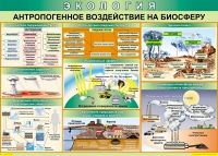 Таблица Антропогенное воздействие на биосферу 1000*700 винил - «globural.ru» - Тобольск