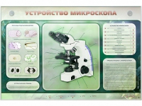 Электрифицированный стенд "Устройство микроскопа и правила работы c ним" - «globural.ru» - Тобольск