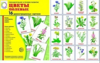 Демонстрационные карточки "Цветы полевые" - «globural.ru» - Тобольск