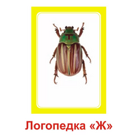 Логопедка "Ж" (логопедические карточки) - «globural.ru» - Тобольск