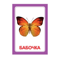 Логопедка "Ч" (логопедические карточки) - «globural.ru» - Тобольск