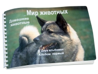 Пособие для слабовидящих "Домашние животные" - «globural.ru» - Тобольск