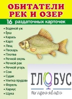 Раздаточные карточки "Обитатели рек и озер" - «globural.ru» - Тобольск