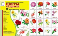 Демонстрационные карточки "Цветы садовые" - «globural.ru» - Тобольск