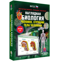 Наглядная биология. Человек. Строение тела человека - «globural.ru» - Тобольск