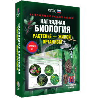 Наглядная биология. Растение - живой организм - «globural.ru» - Тобольск
