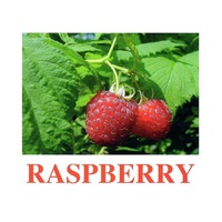 "Berries-1" ("Ягоды-1") английские карточки Домана - «globural.ru» - Тобольск