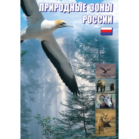DVD Природные зоны России - «globural.ru» - Тобольск