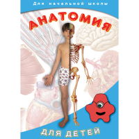 DVD  Анатомия для детей - «globural.ru» - Тобольск