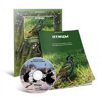 Электронное наглядное пособие «Птицы» - «globural.ru» - Тобольск