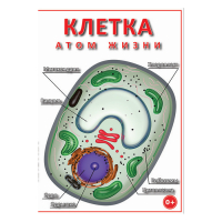 DVD Клетка - "атом жизни" - «globural.ru» - Тобольск