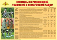 Плакат "Нормативы по радиационной, химической и биологической защите" - «globural.ru» - Тобольск