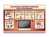 Многофункциональный интерактивный стенд-тренажер "Оказание первой помощи пострадавшим" для учащихся общеобразовательных учреждений - «globural.ru» - Тобольск