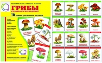 Демонстрационные карточки  "Грибы съедобные и не съедобные" - «globural.ru» - Тобольск