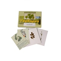 Гербарий "Деревья и кустарники" (22 вида, с иллюстрациями) - «globural.ru» - Тобольск