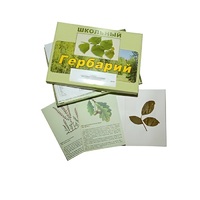 Гербарий "Дикорастущие растения" (30 видов, с иллюстрациями) - «globural.ru» - Тобольск