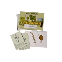 Гербарий "Лекарственные растения" (22 вида, с иллюстрациями) - «globural.ru» - Тобольск