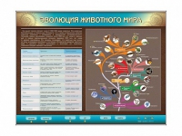 Интерактивный электрифицированный стенд "Эволюция животного мира" - «globural.ru» - Тобольск