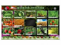 Комплект оборудования "Живой уголок" (растения) - «globural.ru» - Тобольск