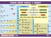 Таблица демонстрационная "Сравнение понятий изомер и гомолог" (винил 100х140) - «globural.ru» - Тобольск