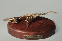 Модель скелета ихтиозавра Ichthyosaurus - «globural.ru» - Тобольск