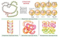 Плакаты и таблицы по общей химии - «globural.ru» - Тобольск