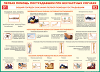  Таблица Общий порядок оказания первой помощи пострадавшим 1000*1400 винил	 - «globural.ru» - Тобольск