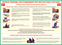 Таблица Порядок действий при внезапной смерти 1000*1400 винил - «globural.ru» - Тобольск