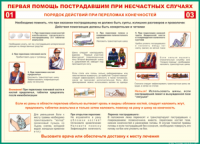 Таблица Порядок действий при переломах конечностей 1000*1400 винил - «globural.ru» - Тобольск