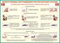 Таблица Порядок действий при ранениях и термических ожогах	 1000*1400 винил - «globural.ru» - Тобольск