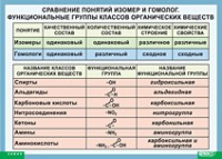 Химия. Сравнение понятий изомер и гомолог. Функциональные группы классов органических веществ (винил) - «globural.ru» - Тобольск