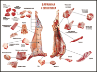 Правила разделки мясных туш "Баранина и ягнятина" 1000*1400 винил - «globural.ru» - Тобольск