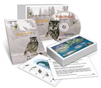 Комбинированное наглядное пособие «Животные» - «globural.ru» - Тобольск