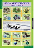 Окружающий мир 4 класс (комплект таблиц) - «globural.ru» - Тобольск