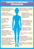 Стенд "Снятие мерок" (вариант 2) - «globural.ru» - Тобольск