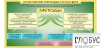 Стенд "Методы селекции и биотехнологии" - «globural.ru» - Тобольск