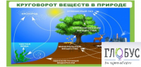 Стенд "Круговорот веществ" - «globural.ru» - Тобольск