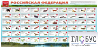 Стенд "Красная книга РФ" - «globural.ru» - Тобольск