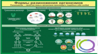 Стенд "Формы размножения организмов" - «globural.ru» - Тобольск